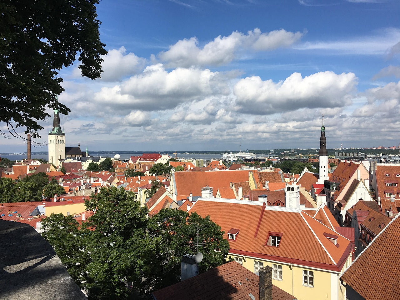 Our CEO to Share Insights on Estonia’s e-Residency Program